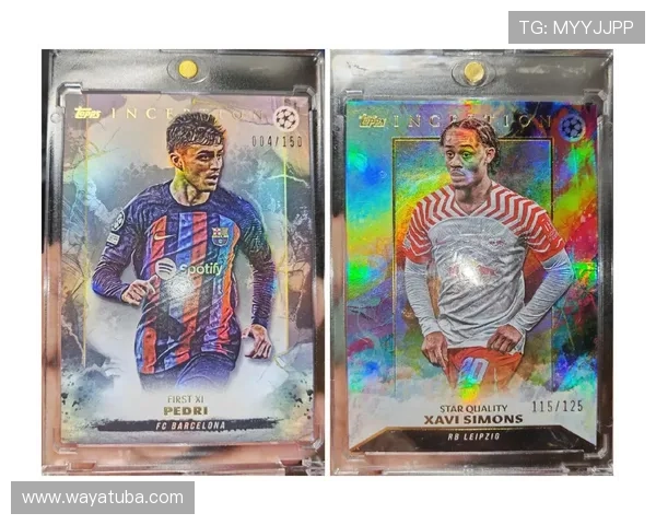 足球球星卡价值排行 哪些球员卡最值得收藏投资 足球球星卡价值排行 哪些球员卡最值得收藏投资