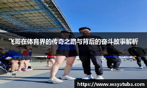 飞哥在体育界的传奇之路与背后的奋斗故事解析