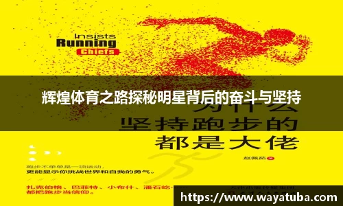 辉煌体育之路探秘明星背后的奋斗与坚持